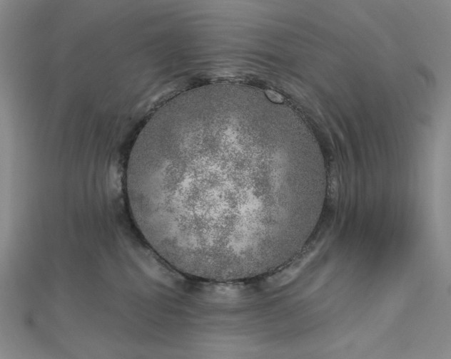 X0000112760282200909031554