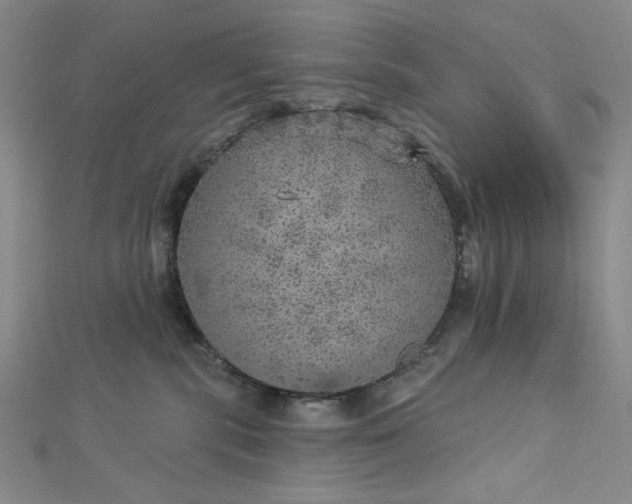 X0000112760283200909031554