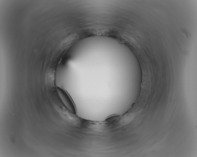 X0000112760288200909031554