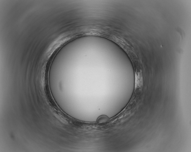 X0000112760291200909031553