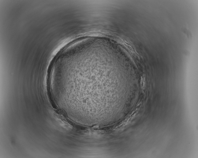 X0000112760292200909031553
