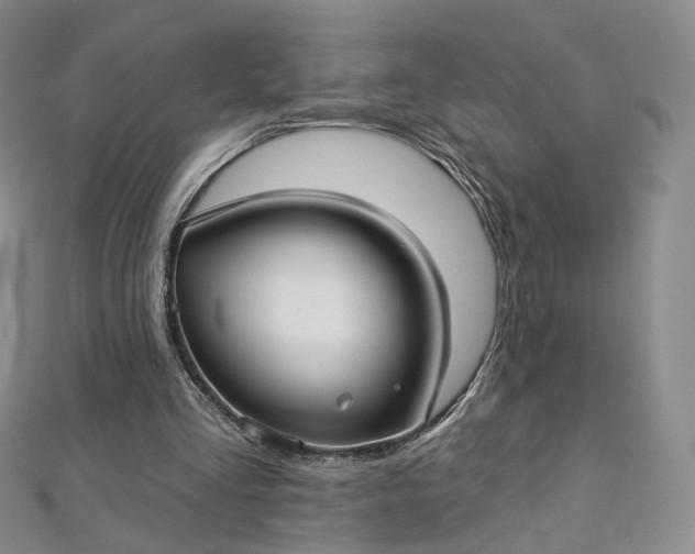 X0000112760293200909031553