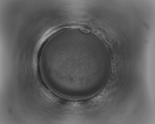 X0000112760295200909031553