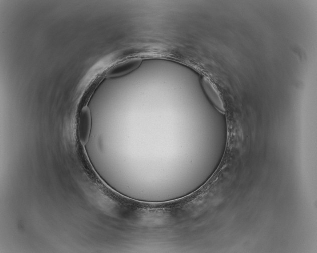 X0000112760296200909031553