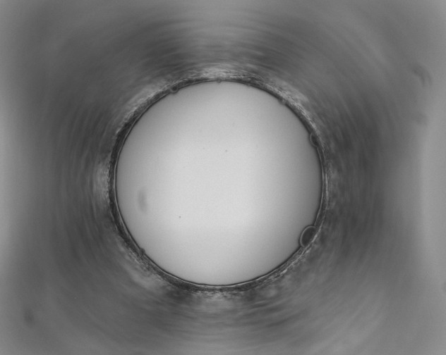 X0000112760297200909031553