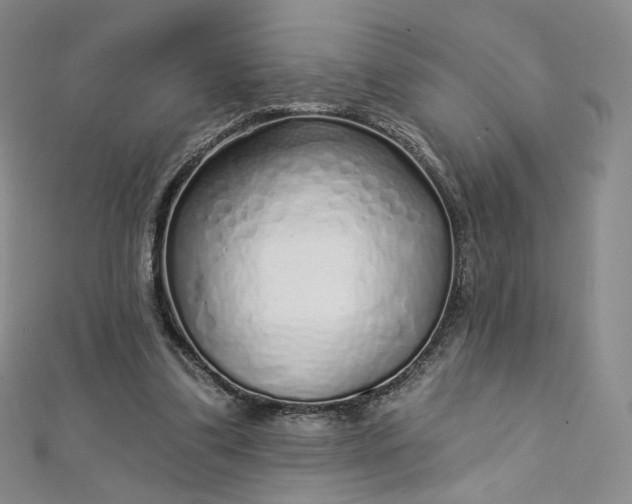 X0000112760299200909031553