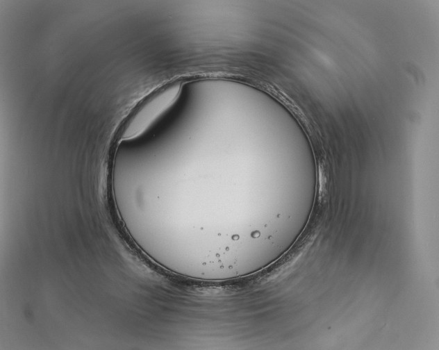 X0000112760301200909031553