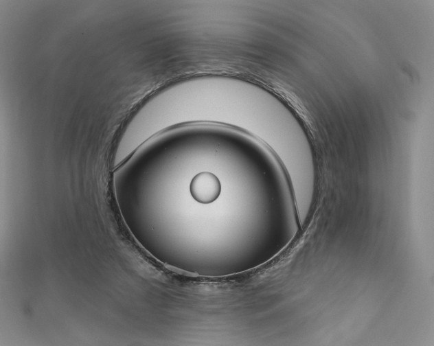 X0000112760305200909031553