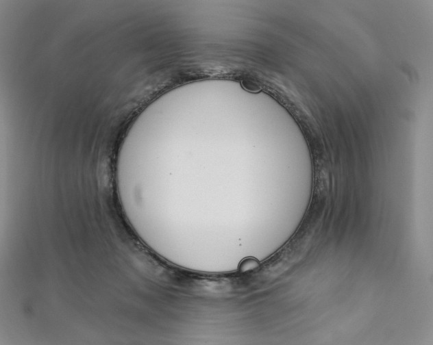 X0000112760317200909031553