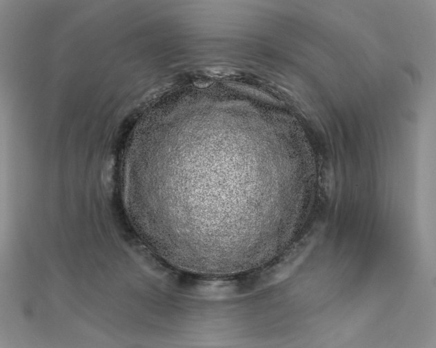 X0000112760319200909031553