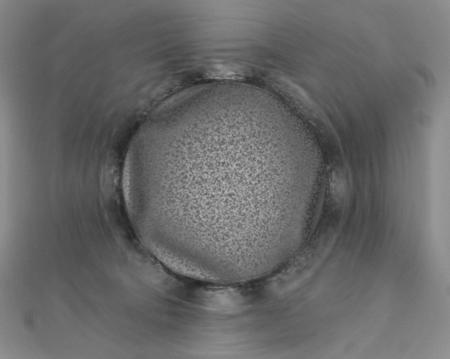 X0000112760322200909031553
