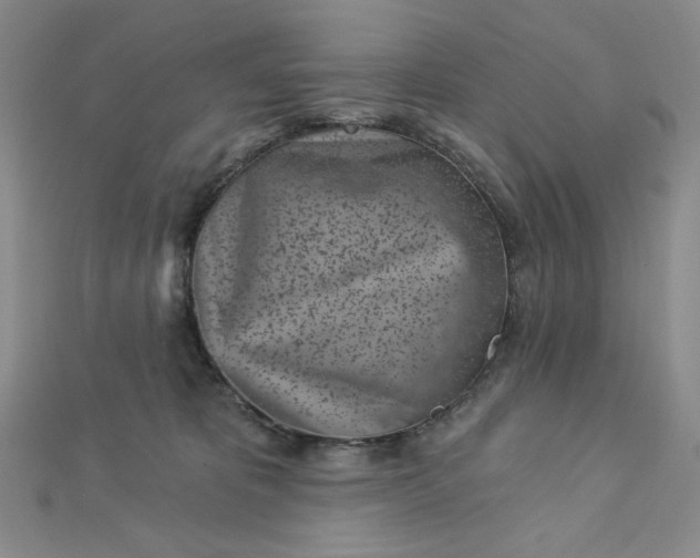 X0000112760325200909031553