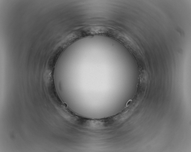 X0000112760327200909031553