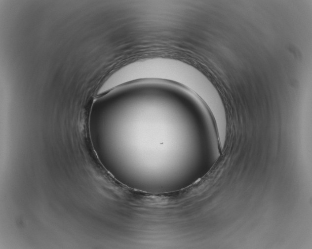 X0000112760328200909031553