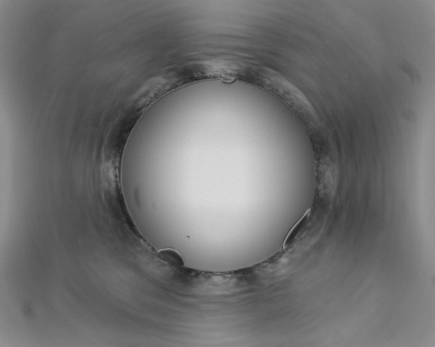 X0000112760329200909031553
