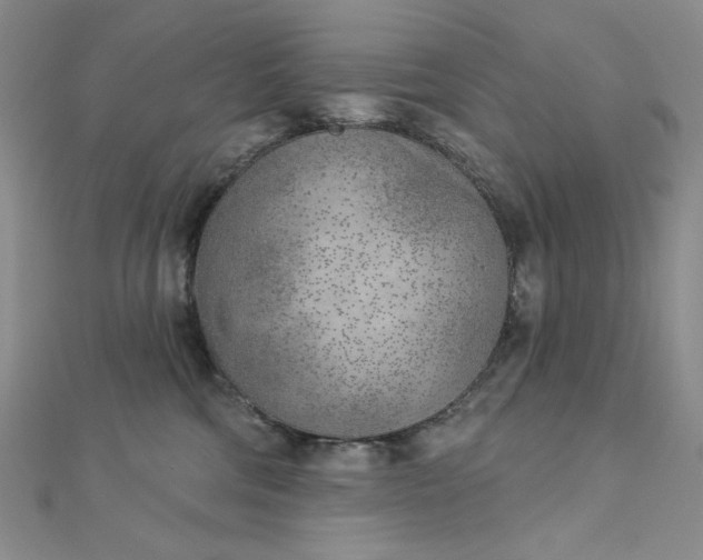 X0000112760330200909031553