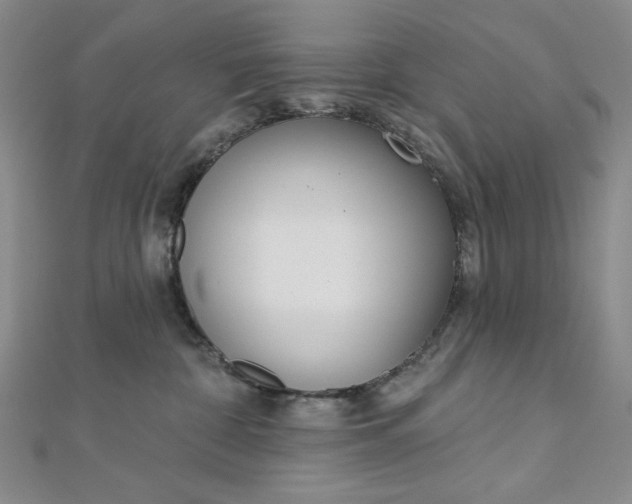 X0000112760332200909031553