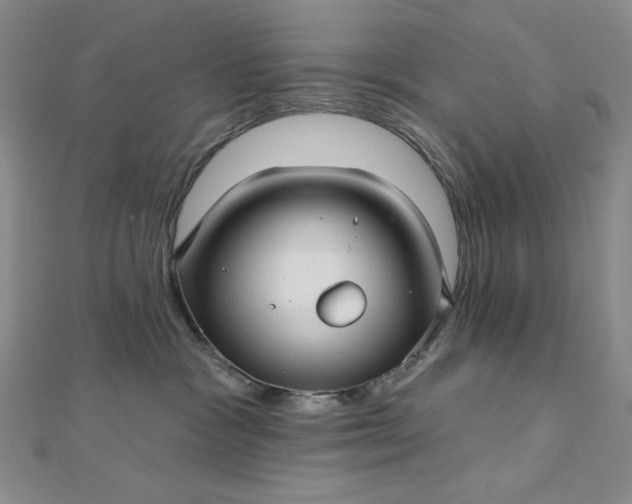 X0000112760333200909031553