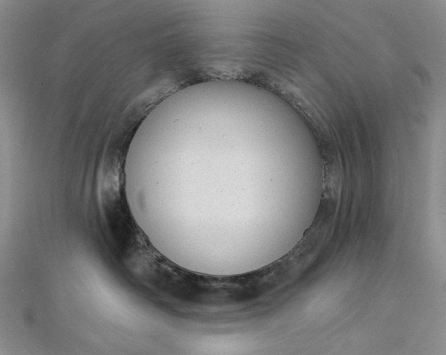 X0000112760334200909031553