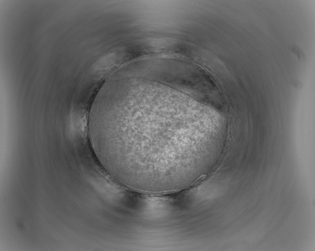 X0000112760336200909031552