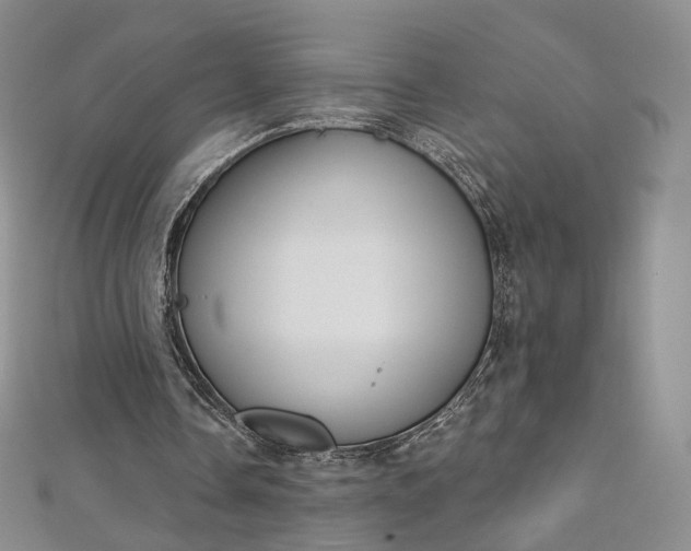 X0000112760338200909031552