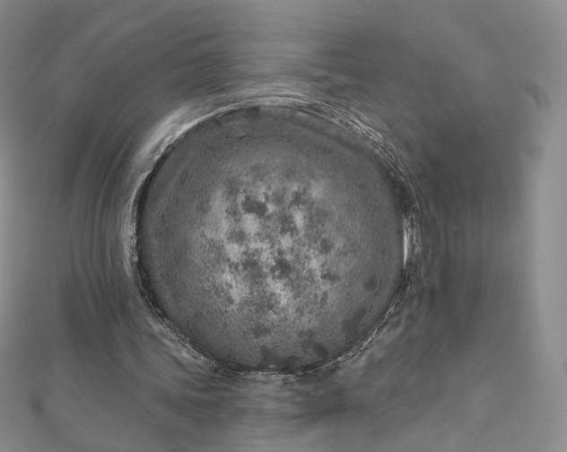 X0000112760339200909031552