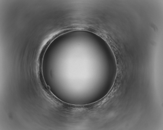 X0000112760342200909031552