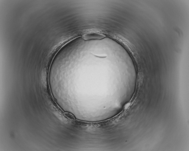 X0000112760345200909031552