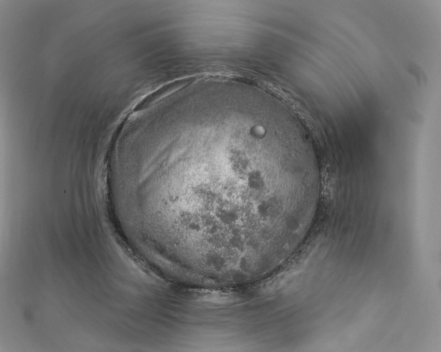 X0000112760347200909031552