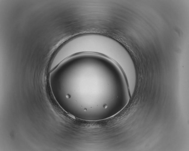 X0000112760348200909031552