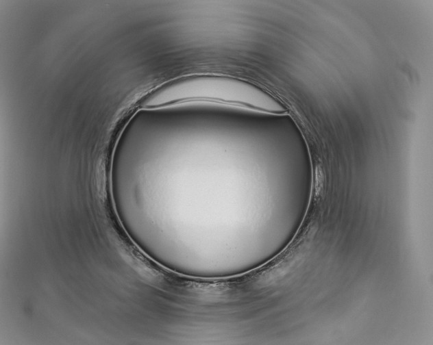 X0000112760349200909031552