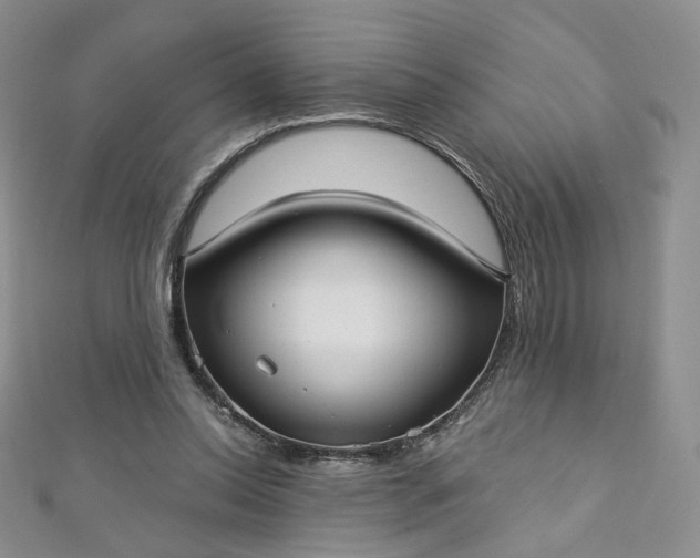 X0000112760350200909031552