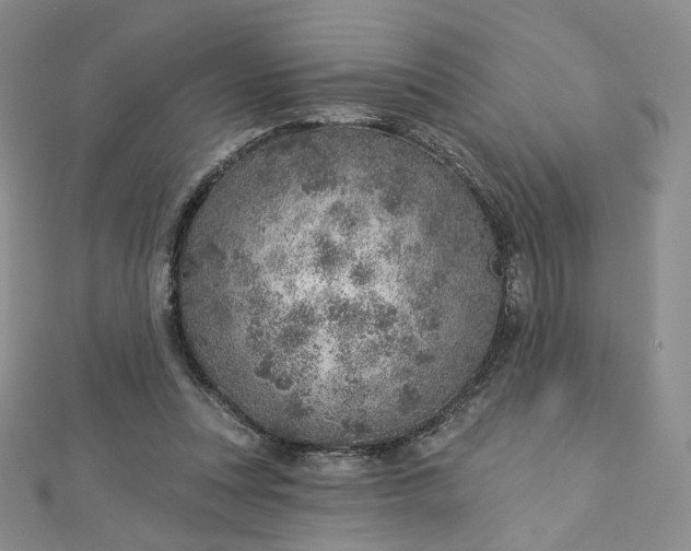 X0000112760351200909031552
