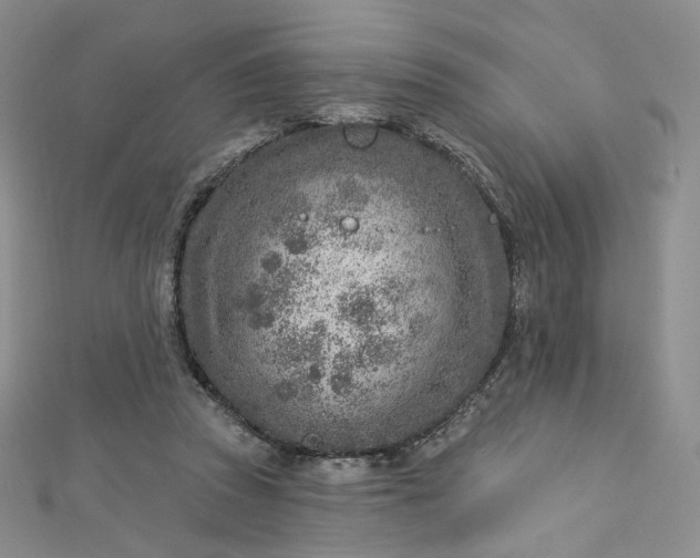 X0000112760353200909031552