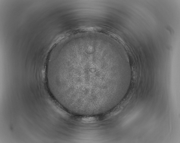 X0000112760357200909031552