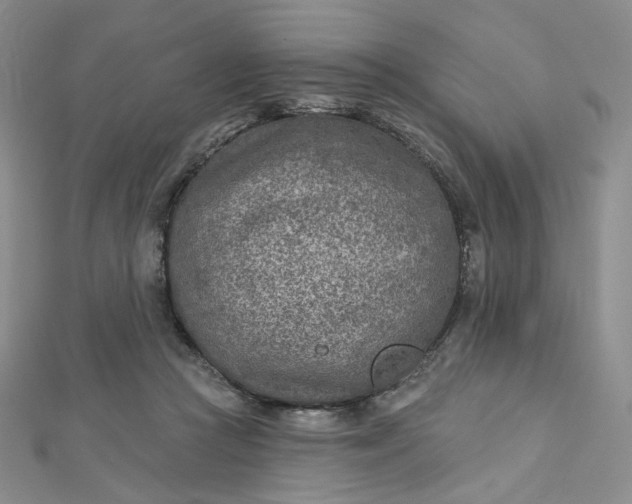 X0000112760361200909031552