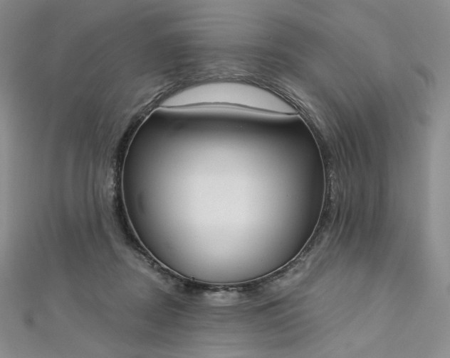 X0000112760362200909031552