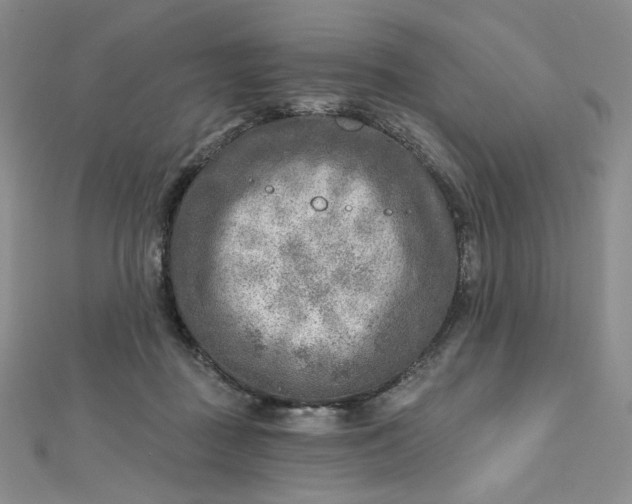 X0000112760363200909031552