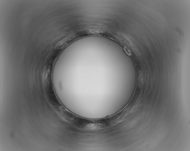 X0000112760364200909031552