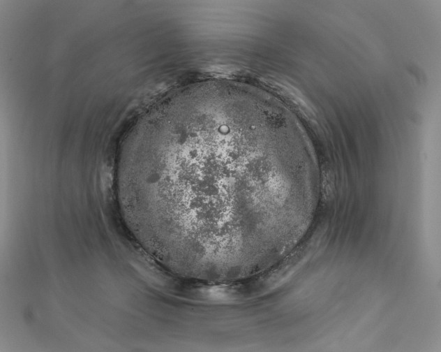 X0000112760365200909031552