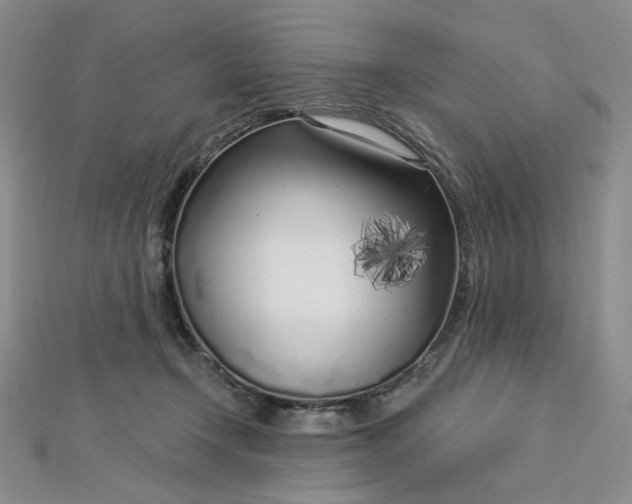 X0000112760366200909031552