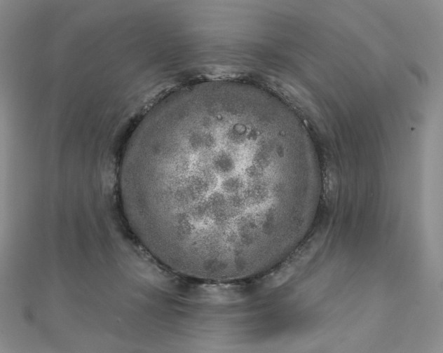 X0000112760367200909031552