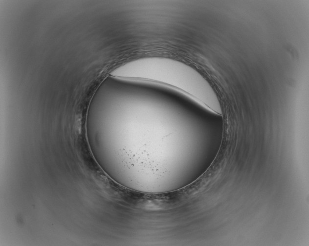 X0000112760368200909031552