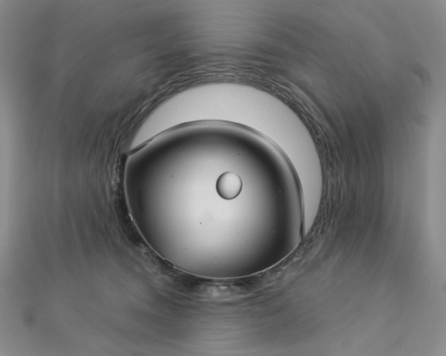 X0000112760372200909031552