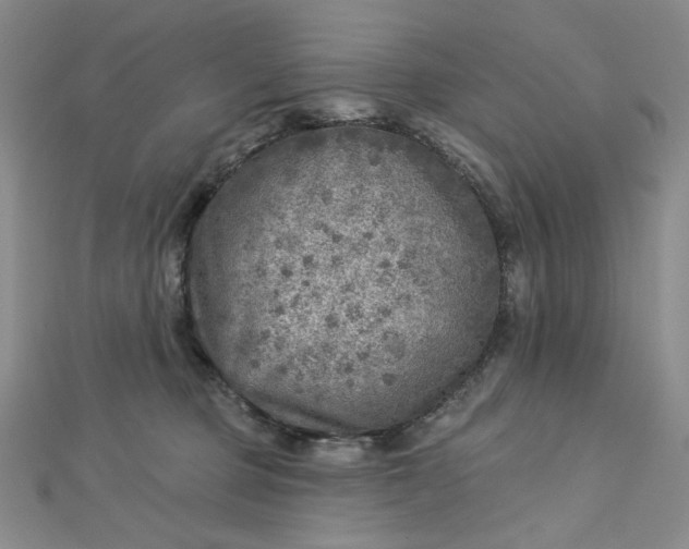 X0000112760373200909031552