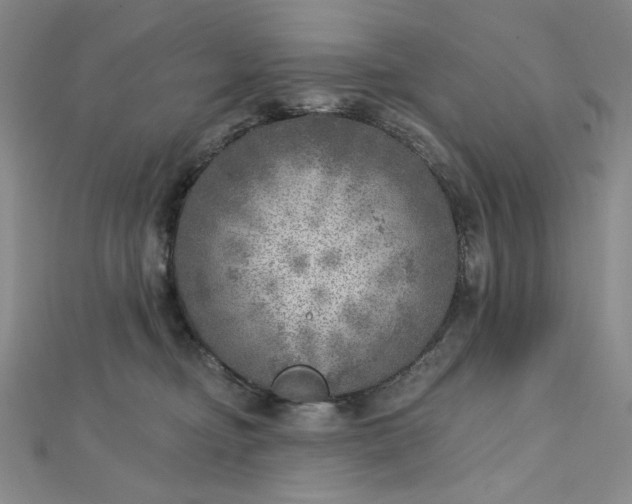 X0000112760374200909031552
