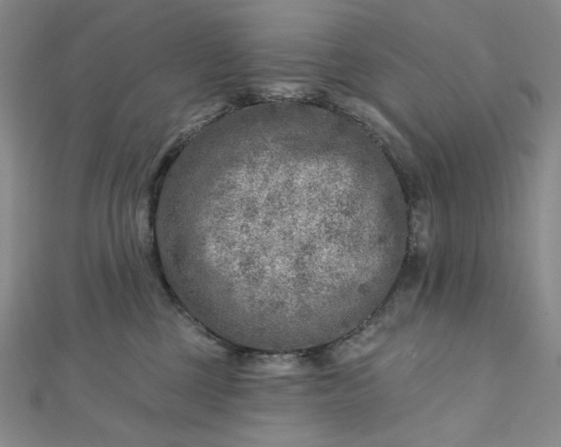 X0000112760377200909031552