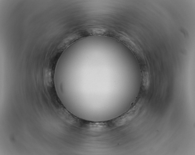 X0000112760378200909031552