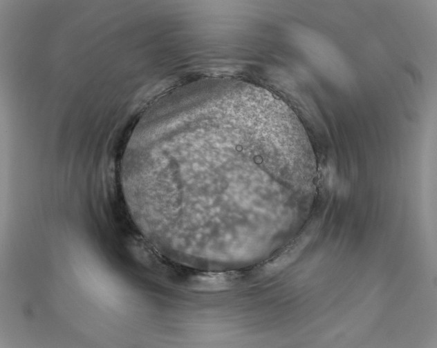 X0000112760381200909031552