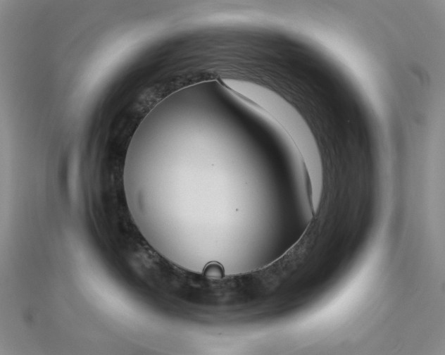 X0000112760382200909031552